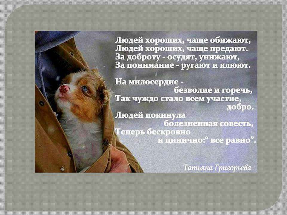 Гуманное отношение к животным - Учебники, Презентации и Подготовка к Экзаменам для Школьников на Klass-Uchebnik.com