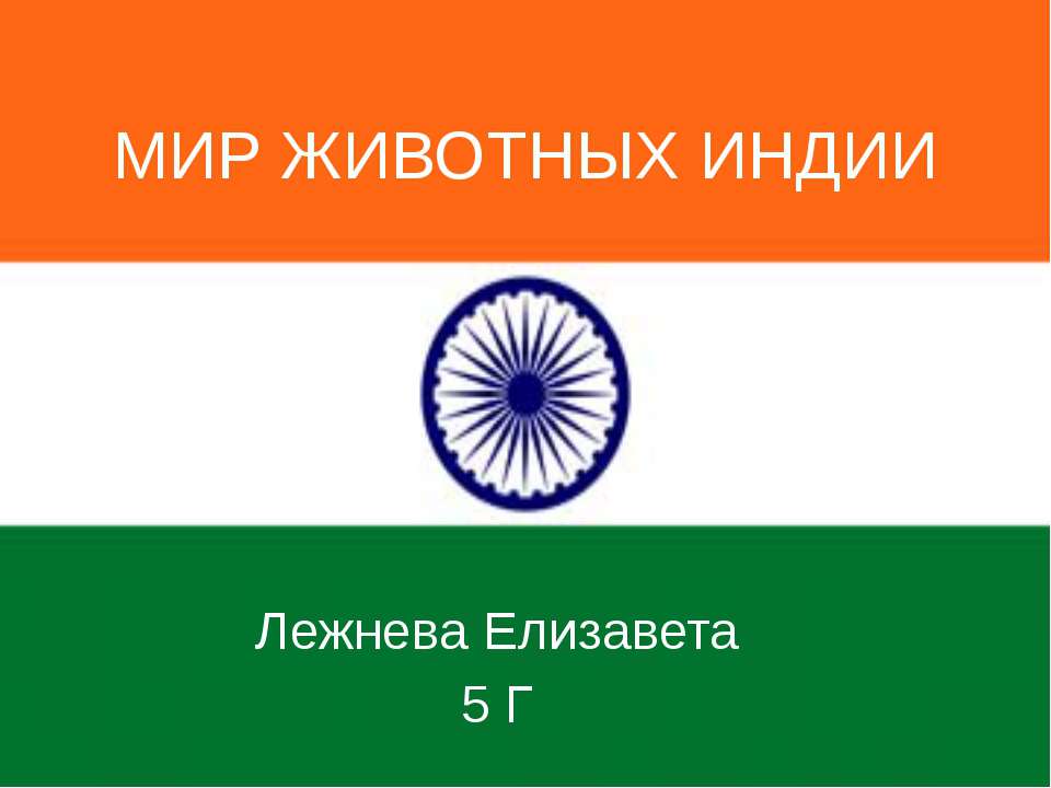 Мир животных Индии Учебники, Презентации и Подготовка к Экзаменам для Школьников на Klass-Uchebnik.com