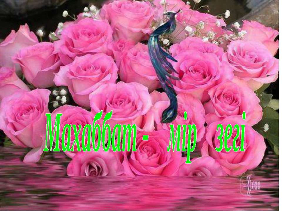 Открытие Америки Учебники, Презентации и Подготовка к Экзаменам для Школьников на Klass-Uchebnik.com