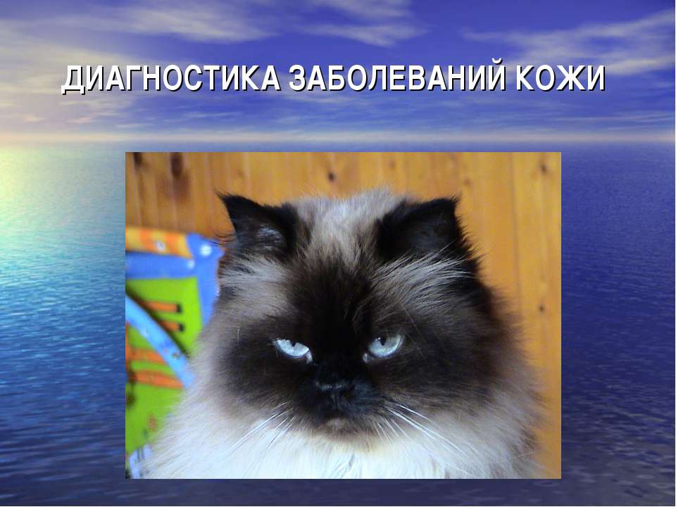 Кожные заболевания Учебники, Презентации и Подготовка к Экзаменам для Школьников на Klass-Uchebnik.com