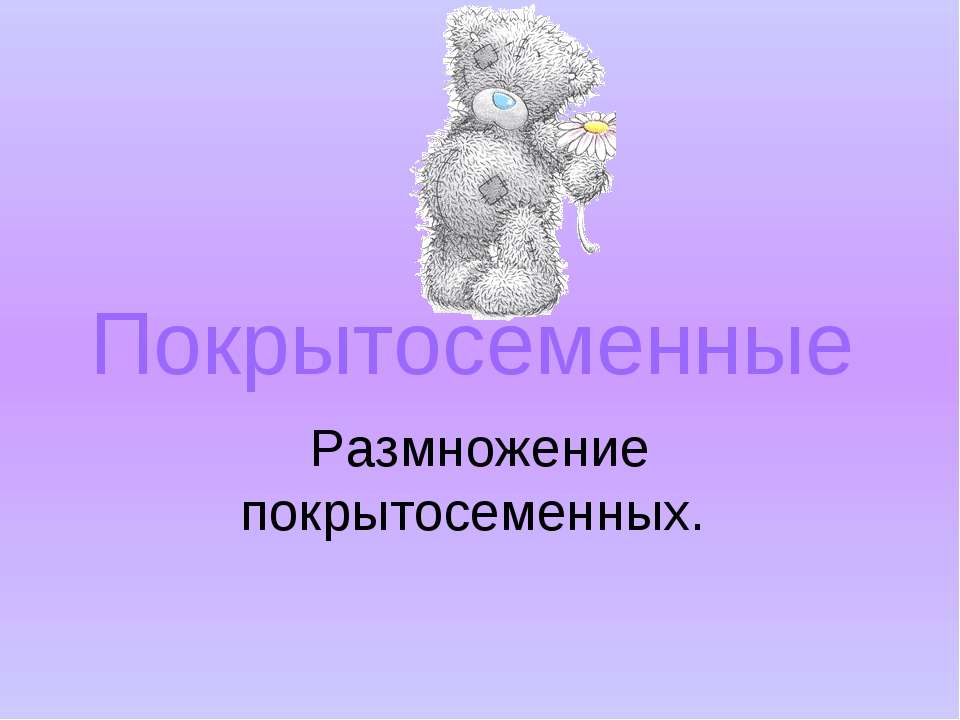 Покрытосеменные. Размножение покрытосеменных Учебники, Презентации и Подготовка к Экзаменам для Школьников на Klass-Uchebnik.com