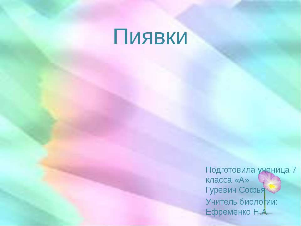 Пиявки Учебники, Презентации и Подготовка к Экзаменам для Школьников на Klass-Uchebnik.com