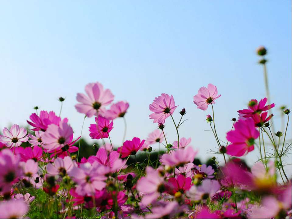 Бунин Иван Алексеевич (1870 - 1953) - Учебники, Презентации и Подготовка к Экзаменам для Школьников на Klass-Uchebnik.com