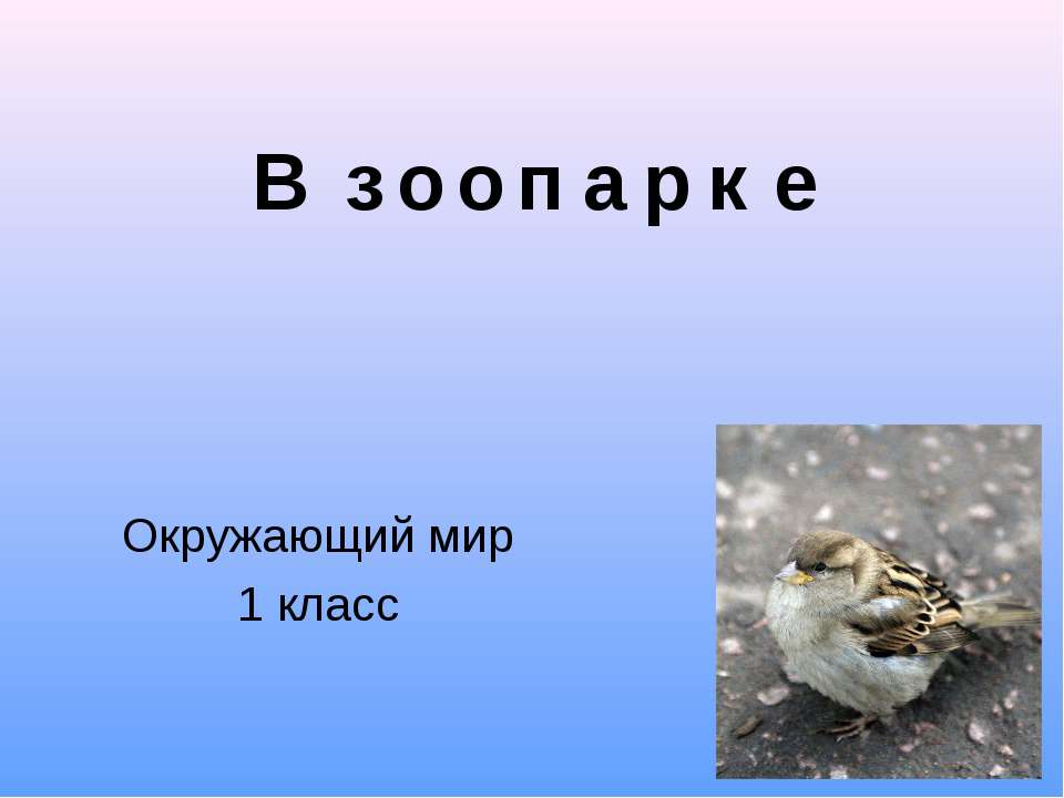 В зоопарке Учебники, Презентации и Подготовка к Экзаменам для Школьников на Klass-Uchebnik.com