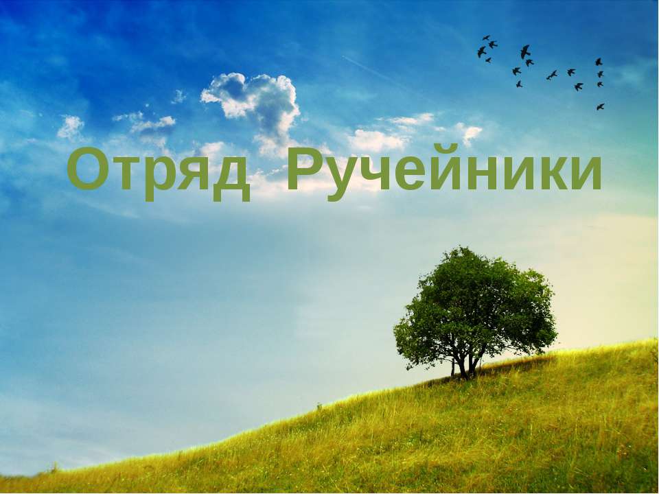 Отряд Ручейники Учебники, Презентации и Подготовка к Экзаменам для Школьников на Klass-Uchebnik.com