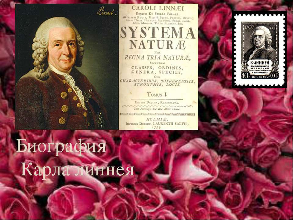Биография Карла линнея Учебники, Презентации и Подготовка к Экзаменам для Школьников на Klass-Uchebnik.com