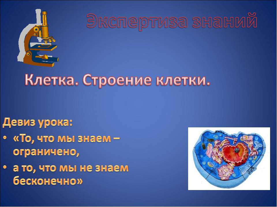 Клетка. Строение клетки - Учебники, Презентации и Подготовка к Экзаменам для Школьников на Klass-Uchebnik.com