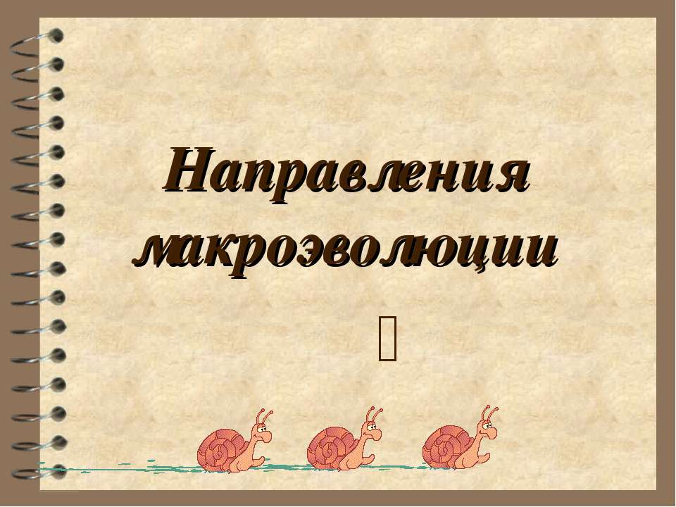 Направления макроэволюции Учебники, Презентации и Подготовка к Экзаменам для Школьников на Klass-Uchebnik.com