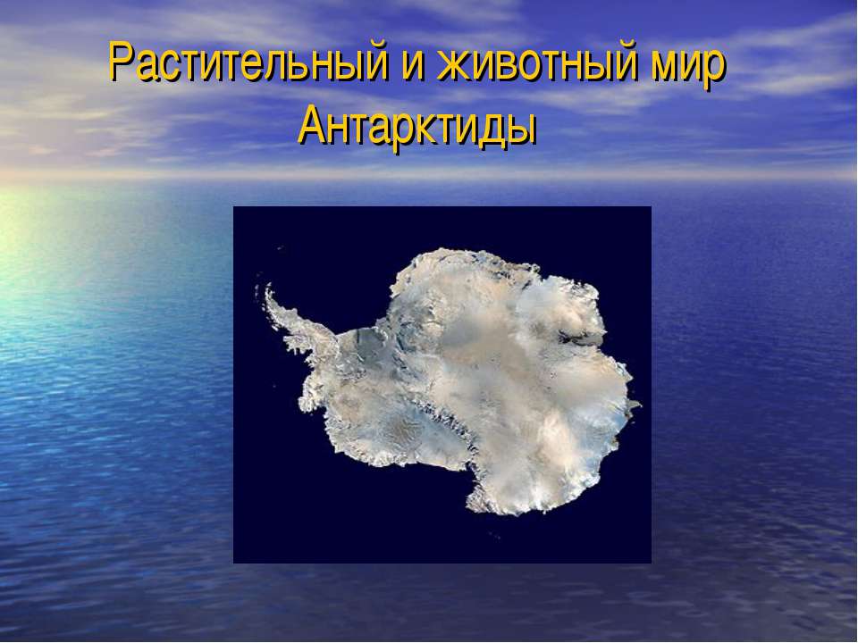 Растительный и животный мир Антарктиды - Учебники, Презентации и Подготовка к Экзаменам для Школьников на Klass-Uchebnik.com