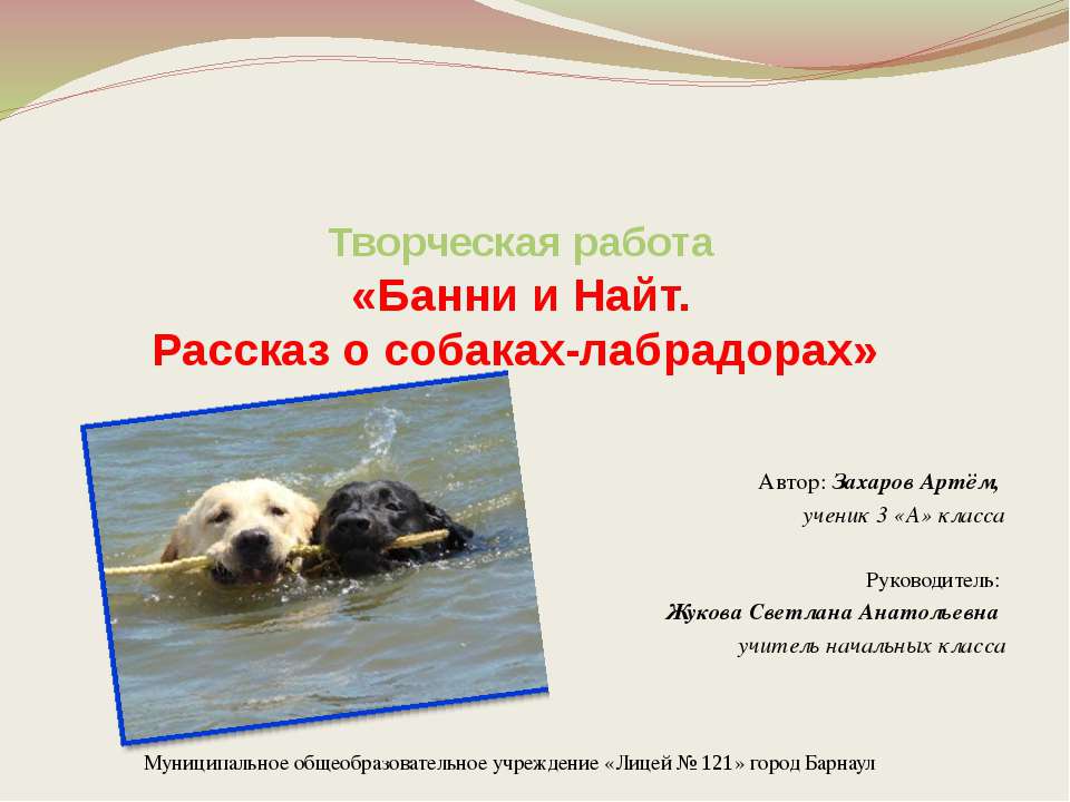 Банни и Найт. Рассказ о собаках-лабрадорах - Учебники, Презентации и Подготовка к Экзаменам для Школьников на Klass-Uchebnik.com