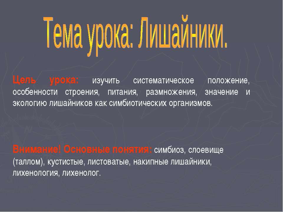 Лишайники Учебники, Презентации и Подготовка к Экзаменам для Школьников на Klass-Uchebnik.com