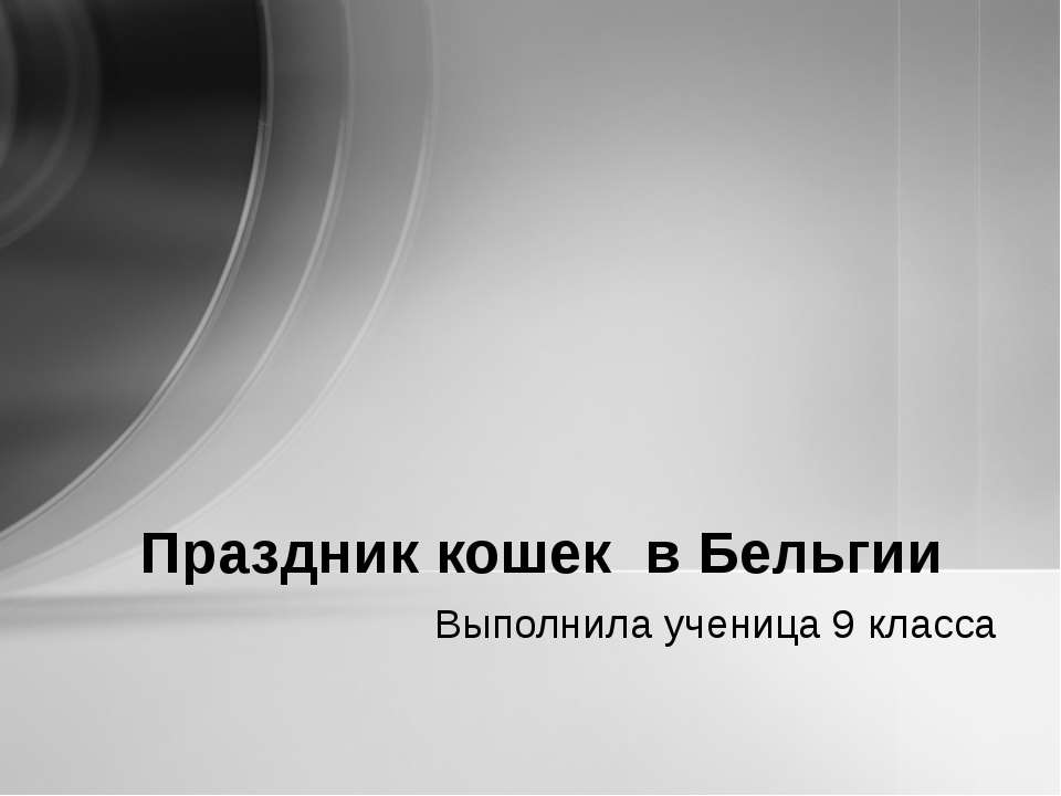 Праздник кошек в Бельгии Учебники, Презентации и Подготовка к Экзаменам для Школьников на Klass-Uchebnik.com