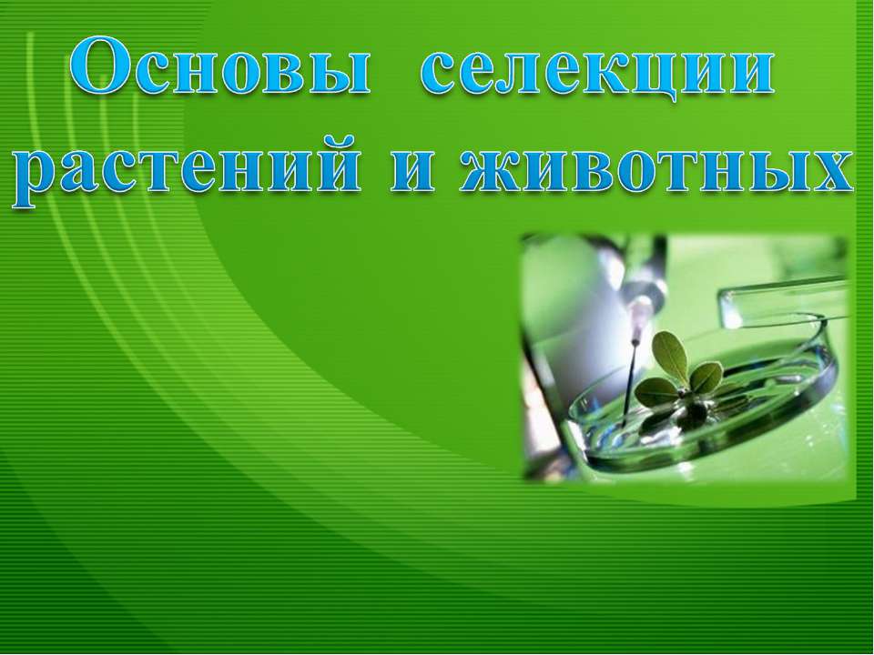 Основы селекции растений и животных Учебники, Презентации и Подготовка к Экзаменам для Школьников на Klass-Uchebnik.com