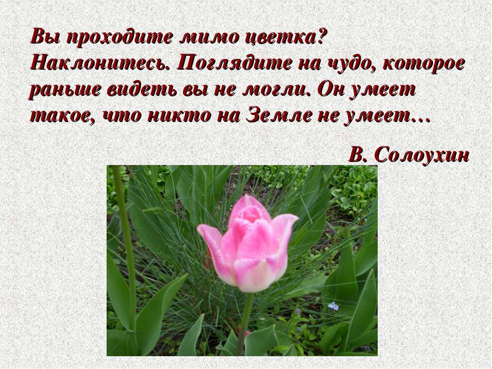 Красота и здоровье Учебники, Презентации и Подготовка к Экзаменам для Школьников на Klass-Uchebnik.com