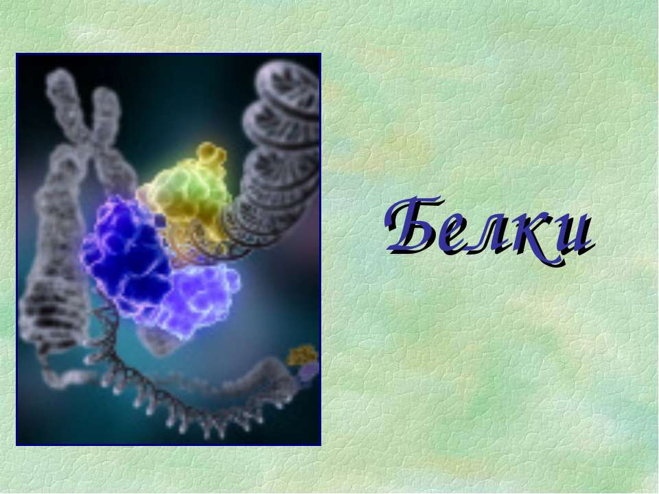 Белки Учебники, Презентации и Подготовка к Экзаменам для Школьников на Klass-Uchebnik.com