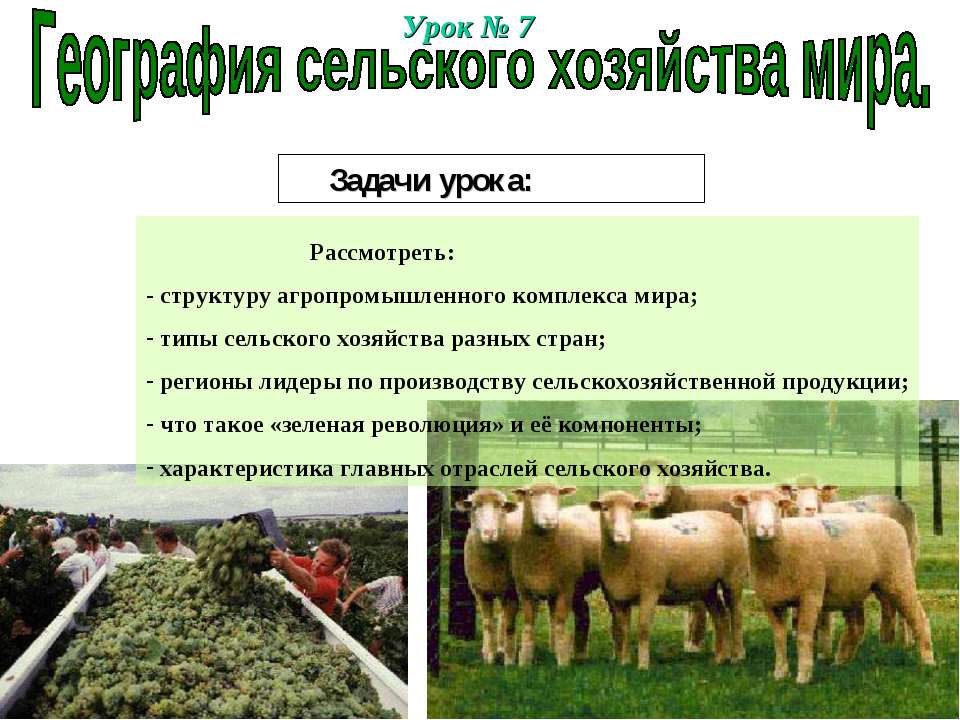 География сельского хозяйства мира - Учебники, Презентации и Подготовка к Экзаменам для Школьников на Klass-Uchebnik.com