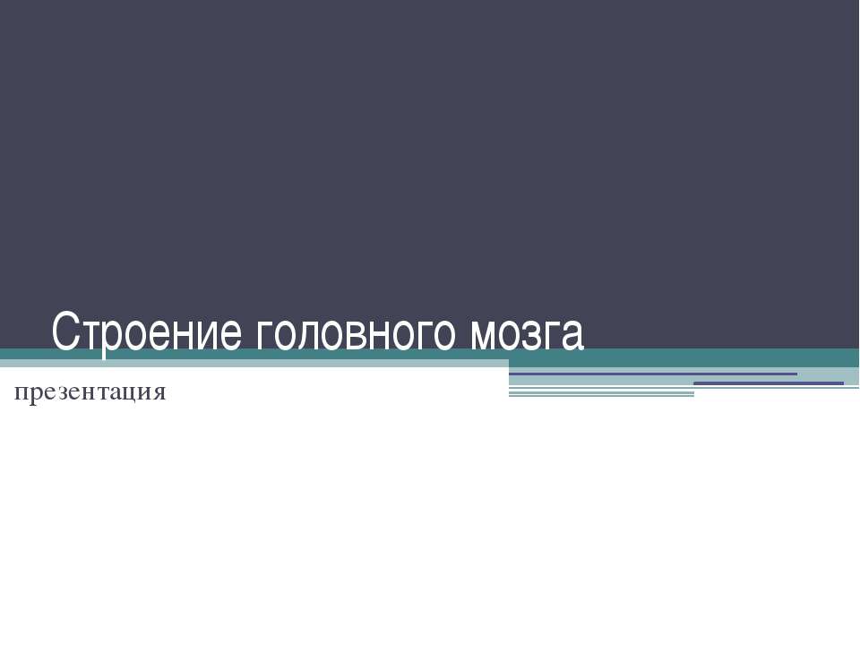 Строение головного мозга Учебники, Презентации и Подготовка к Экзаменам для Школьников на Klass-Uchebnik.com