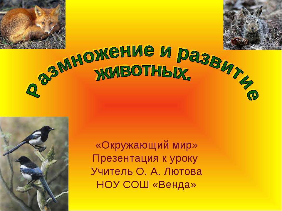 Размножение и развитие животных - Учебники, Презентации и Подготовка к Экзаменам для Школьников на Klass-Uchebnik.com