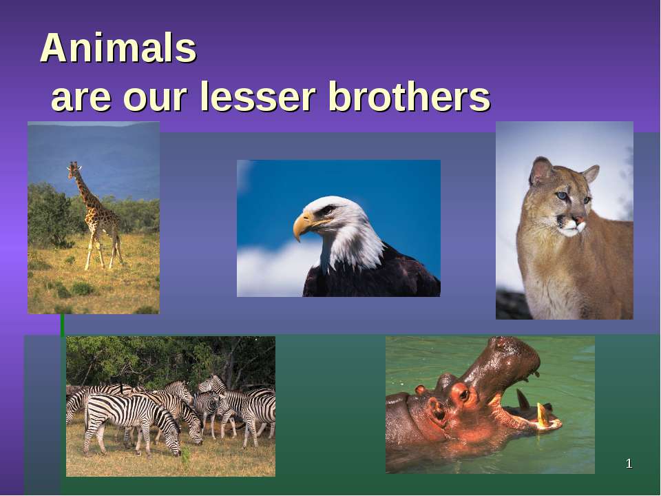 Animals are our lesser brothers - Учебники, Презентации и Подготовка к Экзаменам для Школьников на Klass-Uchebnik.com