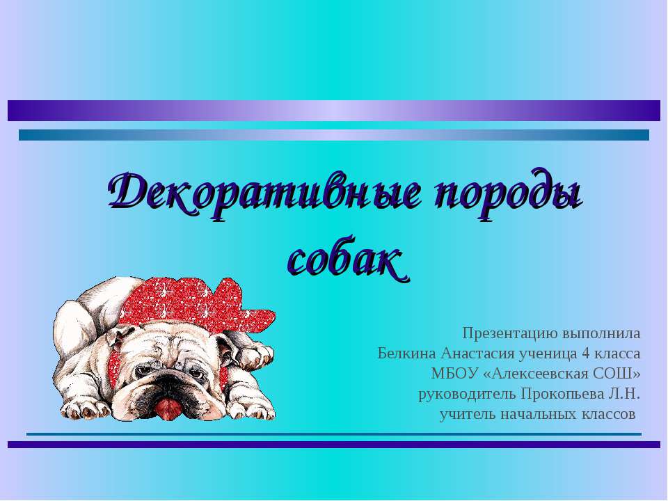 Декоративные породы собак. Учебники, Презентации и Подготовка к Экзаменам для Школьников на Klass-Uchebnik.com
