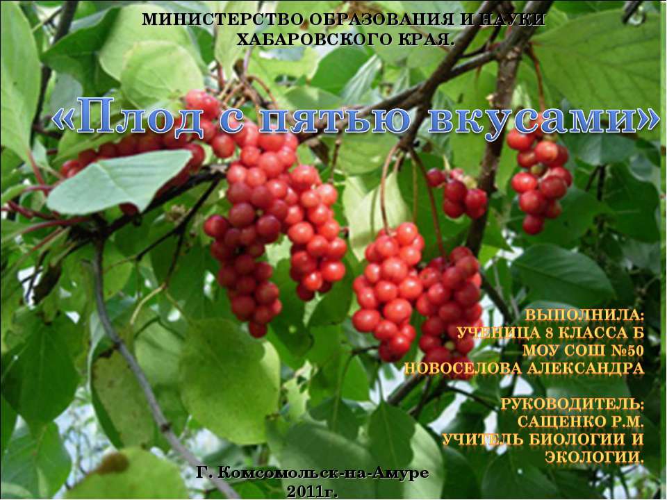 Плод с пятью вкусами Учебники, Презентации и Подготовка к Экзаменам для Школьников на Klass-Uchebnik.com