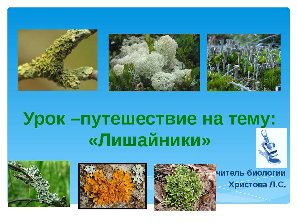 Урок –путешествие на тему: «Лишайники» Учебники, Презентации и Подготовка к Экзаменам для Школьников на Klass-Uchebnik.com