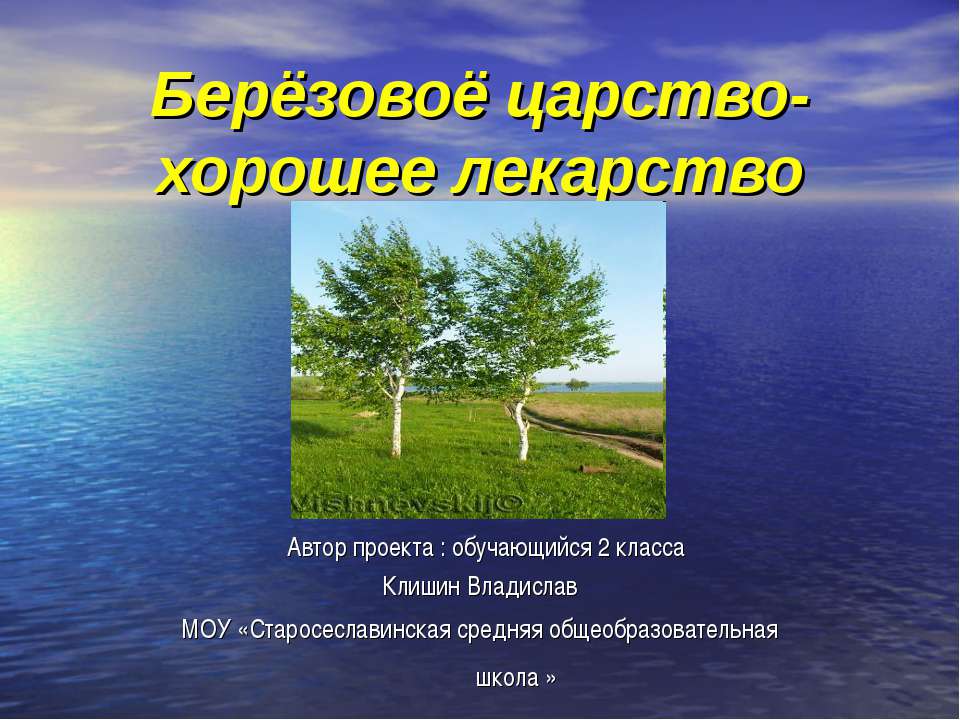 Берёзовоё царство- хорошее лекарство - Учебники, Презентации и Подготовка к Экзаменам для Школьников на Klass-Uchebnik.com
