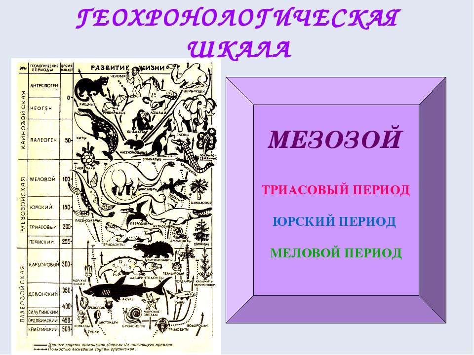 Мезозой Учебники, Презентации и Подготовка к Экзаменам для Школьников на Klass-Uchebnik.com