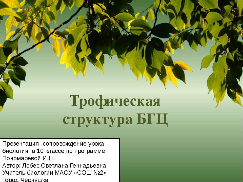 Трофическая структура БГЦ Учебники, Презентации и Подготовка к Экзаменам для Школьников на Klass-Uchebnik.com