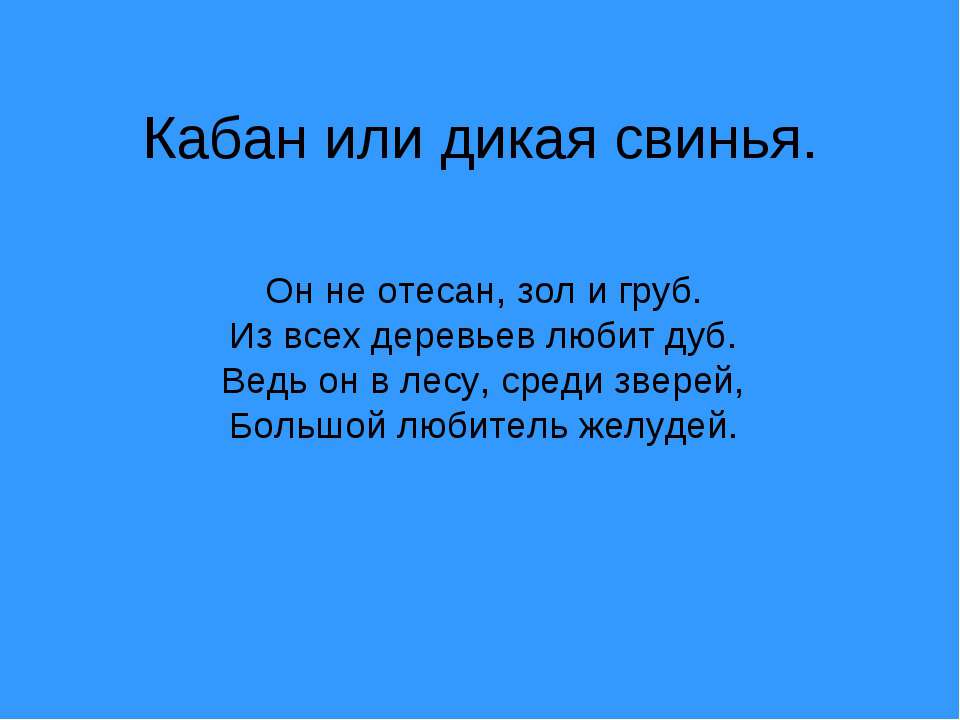 Кабан или дикая свинья Учебники, Презентации и Подготовка к Экзаменам для Школьников на Klass-Uchebnik.com