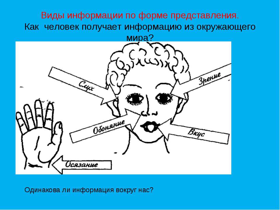 Виды информации по форме представления Учебники, Презентации и Подготовка к Экзаменам для Школьников на Klass-Uchebnik.com