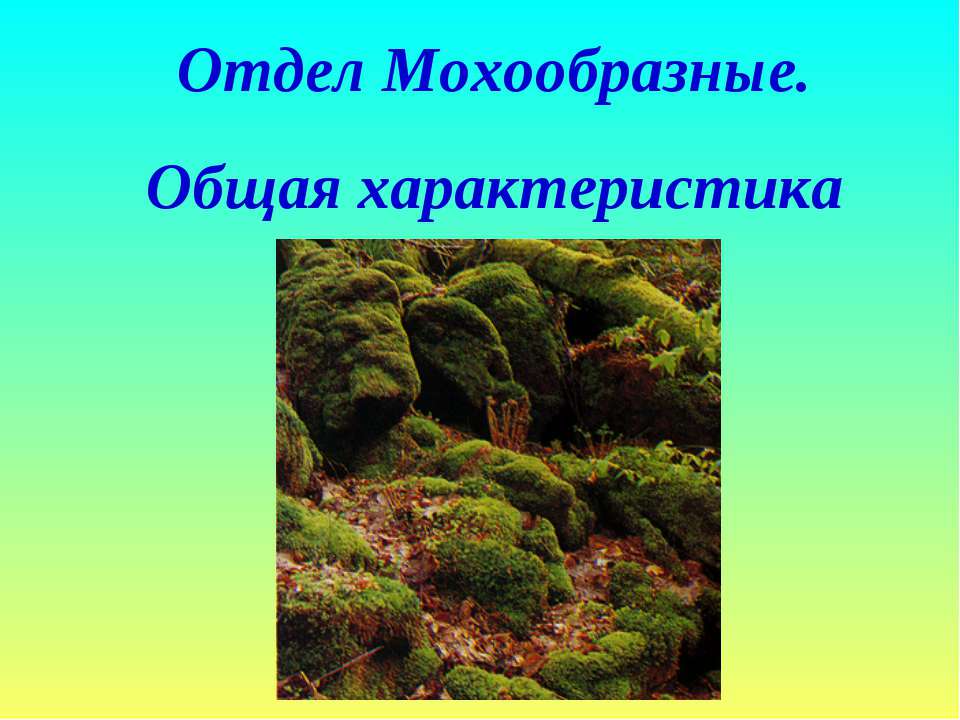 Отдел Мохообразные. Общая характеристика Учебники, Презентации и Подготовка к Экзаменам для Школьников на Klass-Uchebnik.com