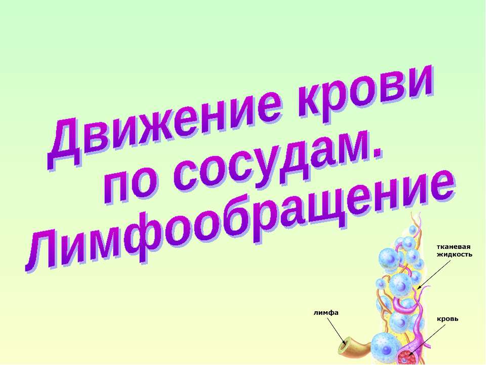 Движение крови по сосудам. Лимфообращение Учебники, Презентации и Подготовка к Экзаменам для Школьников на Klass-Uchebnik.com
