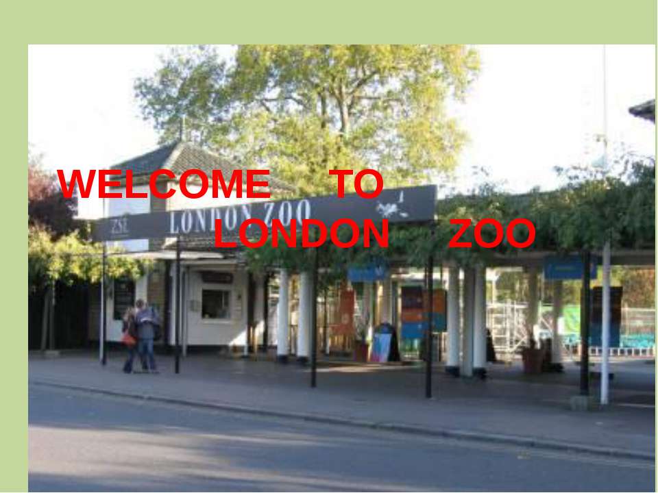 Welcome to London zoo Учебники, Презентации и Подготовка к Экзаменам для Школьников на Klass-Uchebnik.com