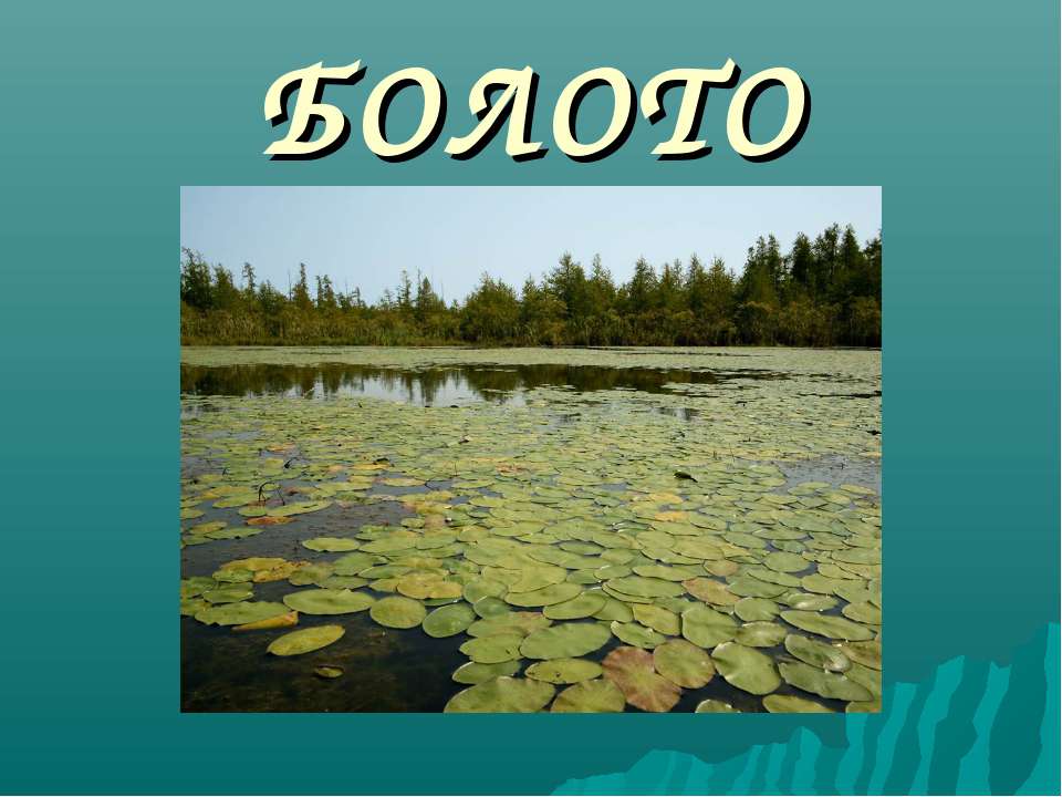 Болото 3 класс Учебники, Презентации и Подготовка к Экзаменам для Школьников на Klass-Uchebnik.com
