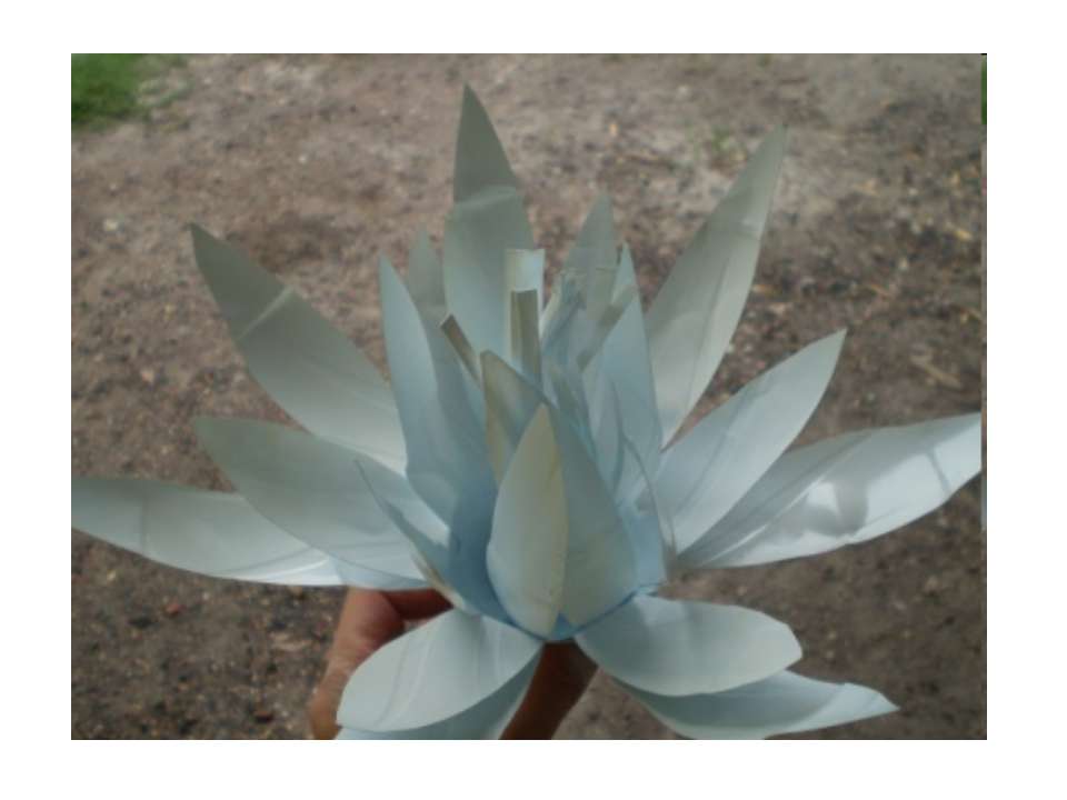 Кувшинки из пластиковых бутылок Учебники, Презентации и Подготовка к Экзаменам для Школьников на Klass-Uchebnik.com