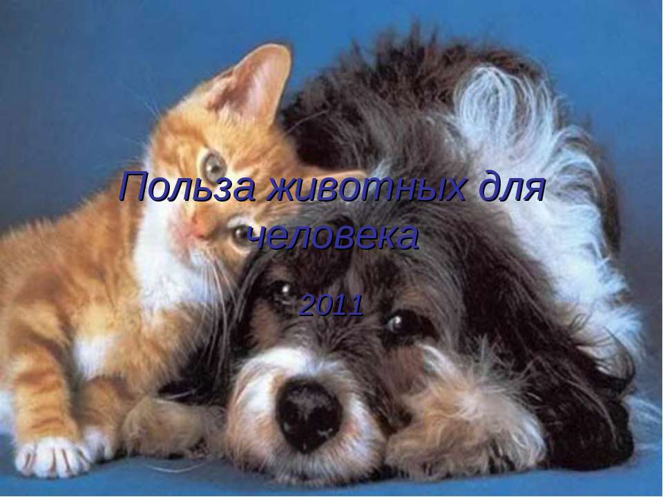 Польза животных для человека - Учебники, Презентации и Подготовка к Экзаменам для Школьников на Klass-Uchebnik.com