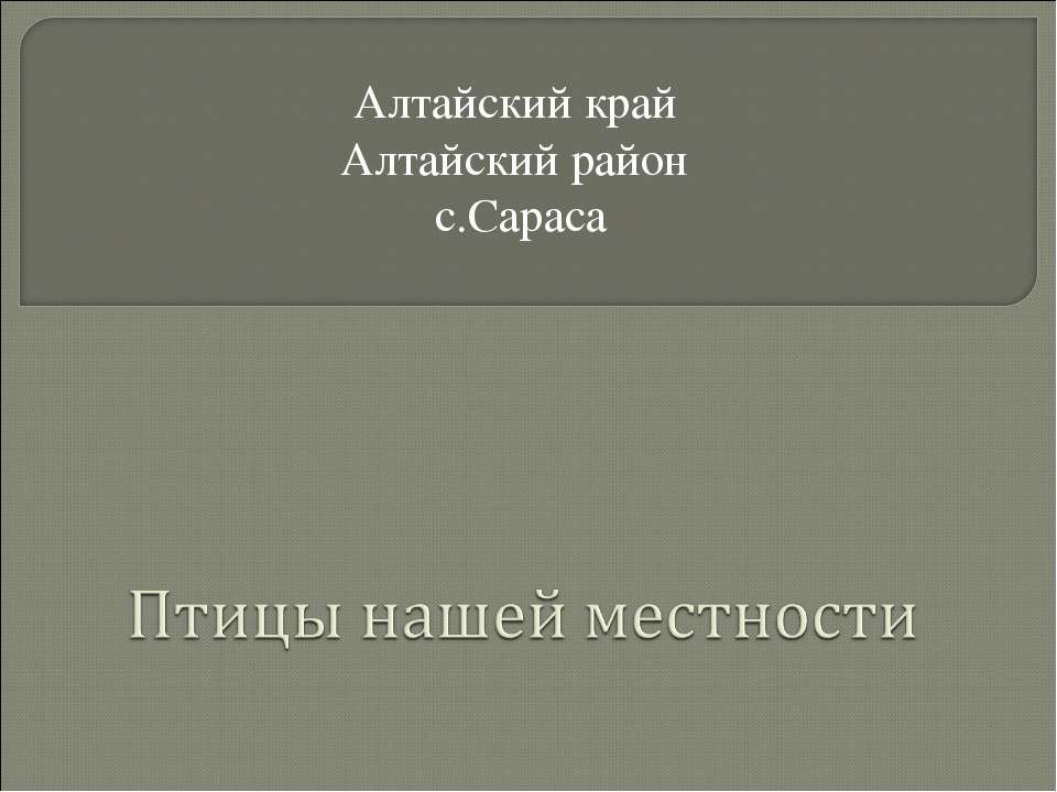 Птицы нашей местности 📚 Учебники, Презентации и Подготовка к Экзаменам для Школьников на Klass-Uchebnik.com