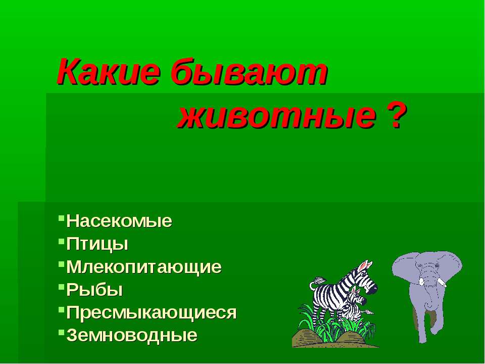 Какие бывают животные ? Учебники, Презентации и Подготовка к Экзаменам для Школьников на Klass-Uchebnik.com