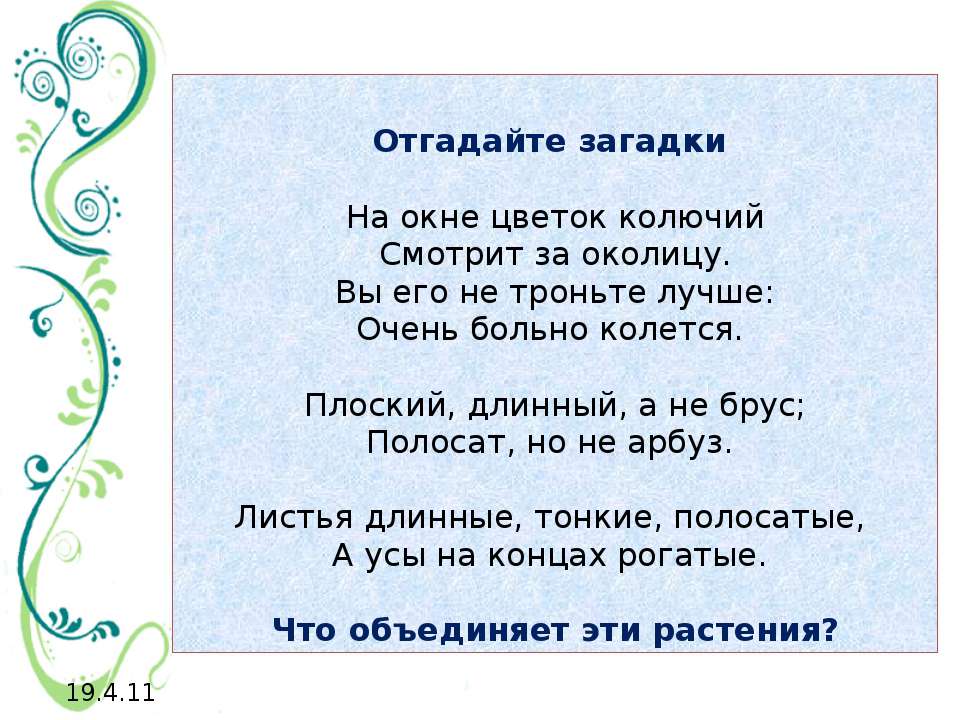 Мир растений на подоконнике Учебники, Презентации и Подготовка к Экзаменам для Школьников на Klass-Uchebnik.com
