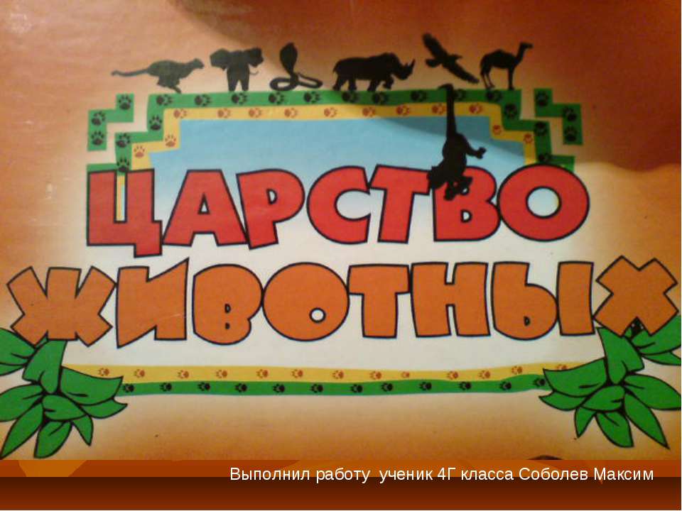 царство животных Учебники, Презентации и Подготовка к Экзаменам для Школьников на Klass-Uchebnik.com