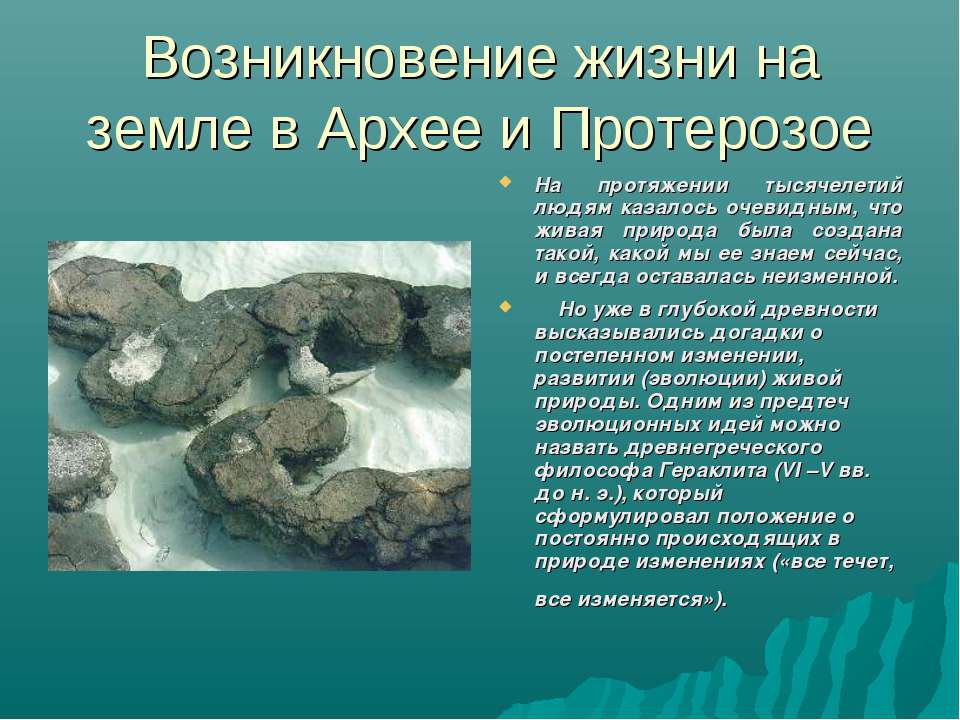 Возникновение жизни на земле в Архее и Протерозое Учебники, Презентации и Подготовка к Экзаменам для Школьников на Klass-Uchebnik.com