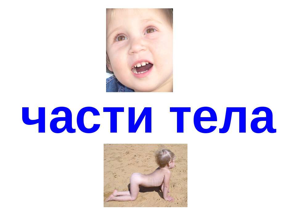 Части тела Учебники, Презентации и Подготовка к Экзаменам для Школьников на Klass-Uchebnik.com