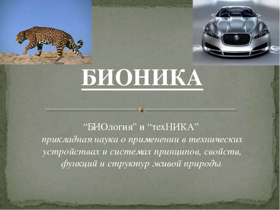 Бионика как отдельная наука Учебники, Презентации и Подготовка к Экзаменам для Школьников на Klass-Uchebnik.com