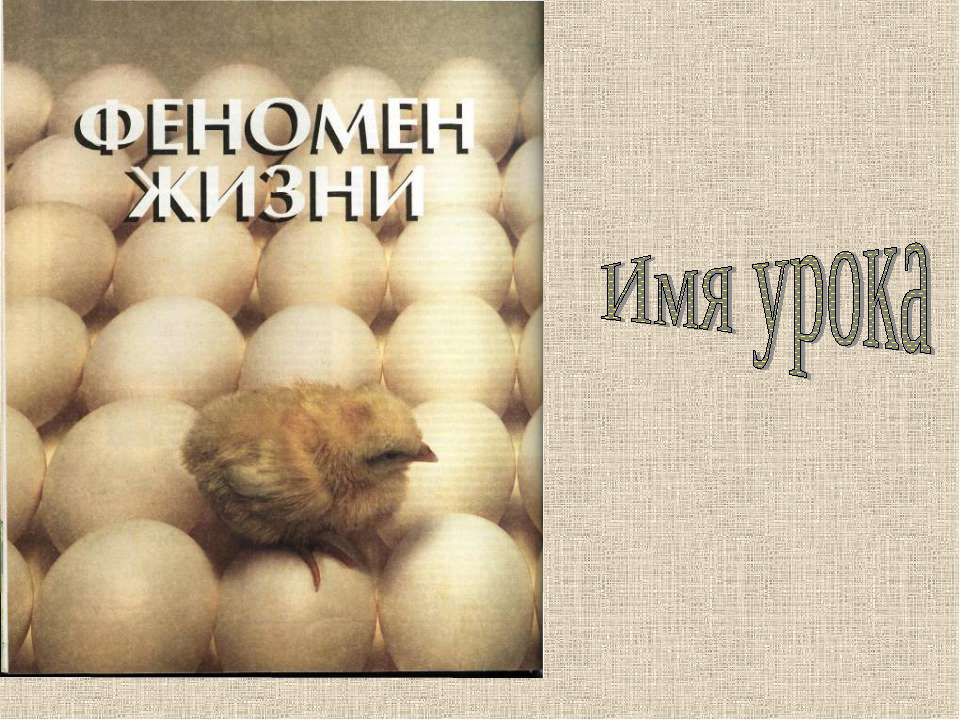 Размножение и развитие птиц. Л/р «Изучение строения куриного яйца» Учебники, Презентации и Подготовка к Экзаменам для Школьников на Klass-Uchebnik.com