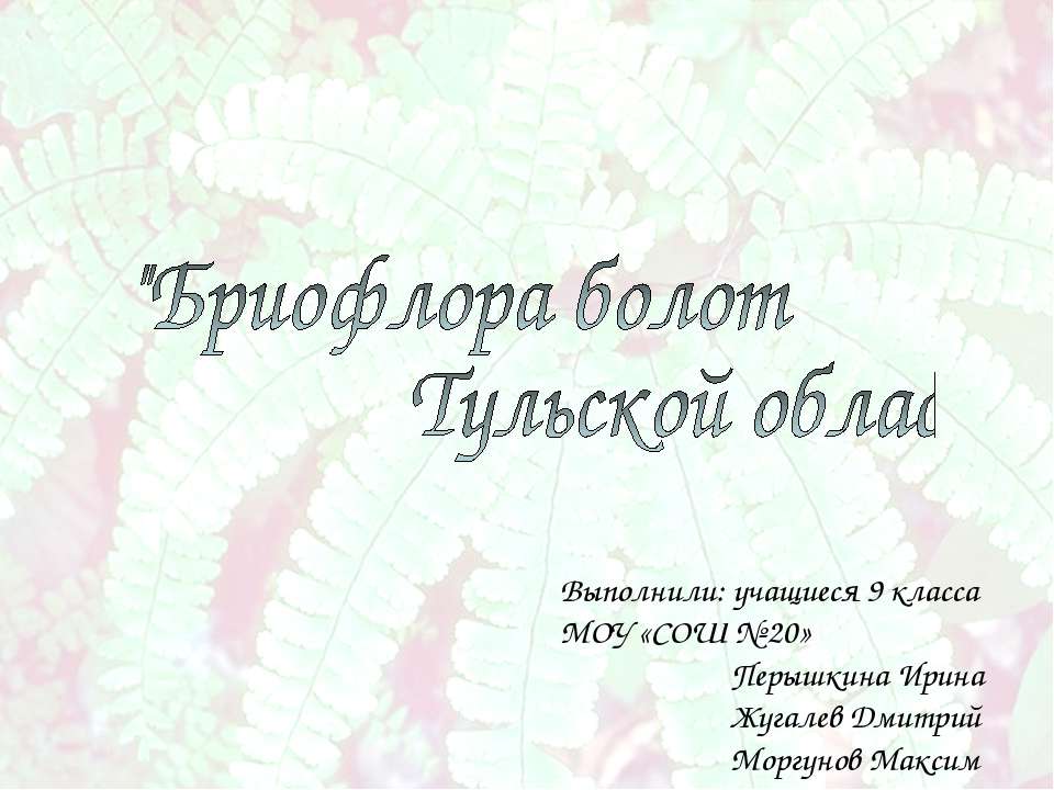 Бриофлора болот Тульской области Учебники, Презентации и Подготовка к Экзаменам для Школьников на Klass-Uchebnik.com