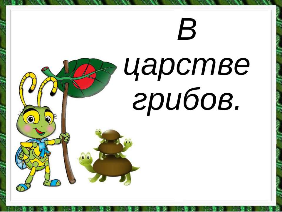 В царстве грибов Учебники, Презентации и Подготовка к Экзаменам для Школьников на Klass-Uchebnik.com