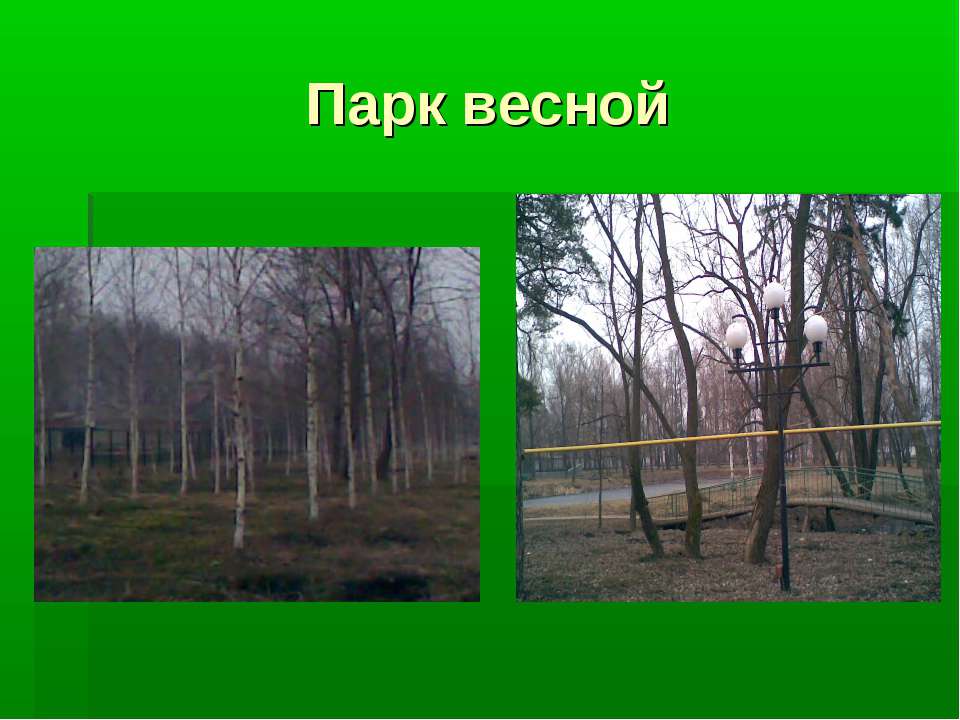 Парк весной Учебники, Презентации и Подготовка к Экзаменам для Школьников на Klass-Uchebnik.com