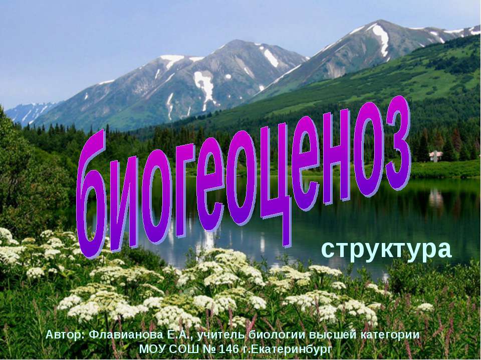 Биогеоценоз структура Учебники, Презентации и Подготовка к Экзаменам для Школьников на Klass-Uchebnik.com