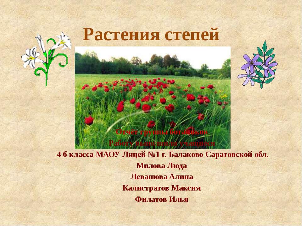 Растения степей Учебники, Презентации и Подготовка к Экзаменам для Школьников на Klass-Uchebnik.com